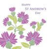 St Andrew's Day Greeting Card