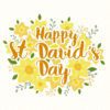 St Davids Day Card